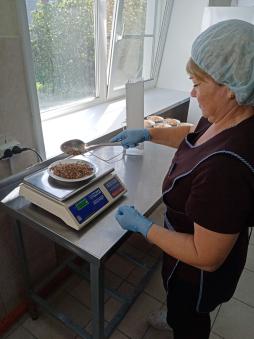 Родительский контроль 1 четверть 2025-2026 у.г.